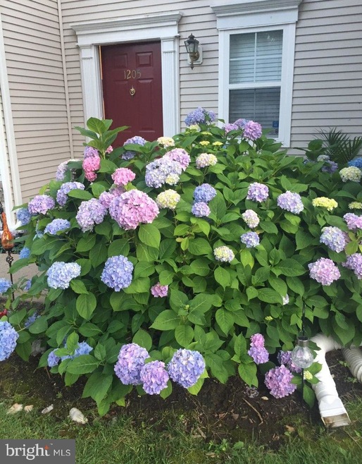 1205 Pheasant Run, Monmouth Junction, NJ 08852 - photo 1