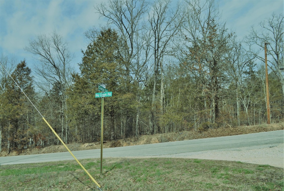 DSC_1570 (2)