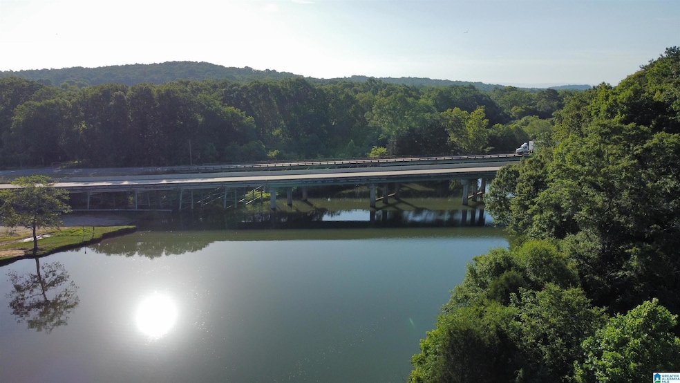 345 Conchardee Ln, Lincoln, AL 35096 - photo 1