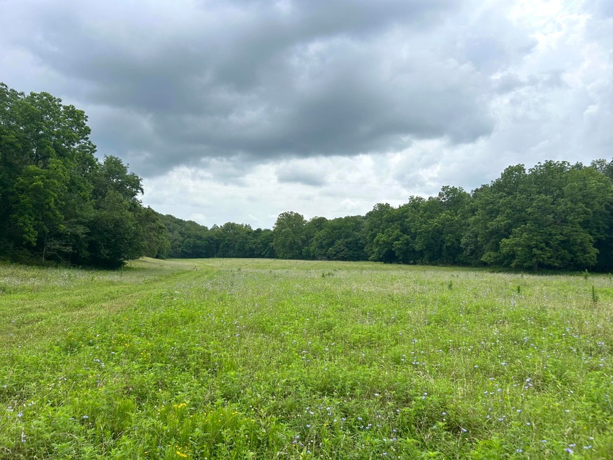 Field