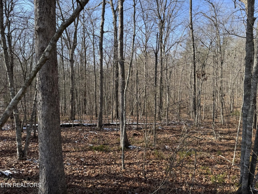 0 Belmont Cir unit RTC2928151, Monterey, TN 38574 - photo 1