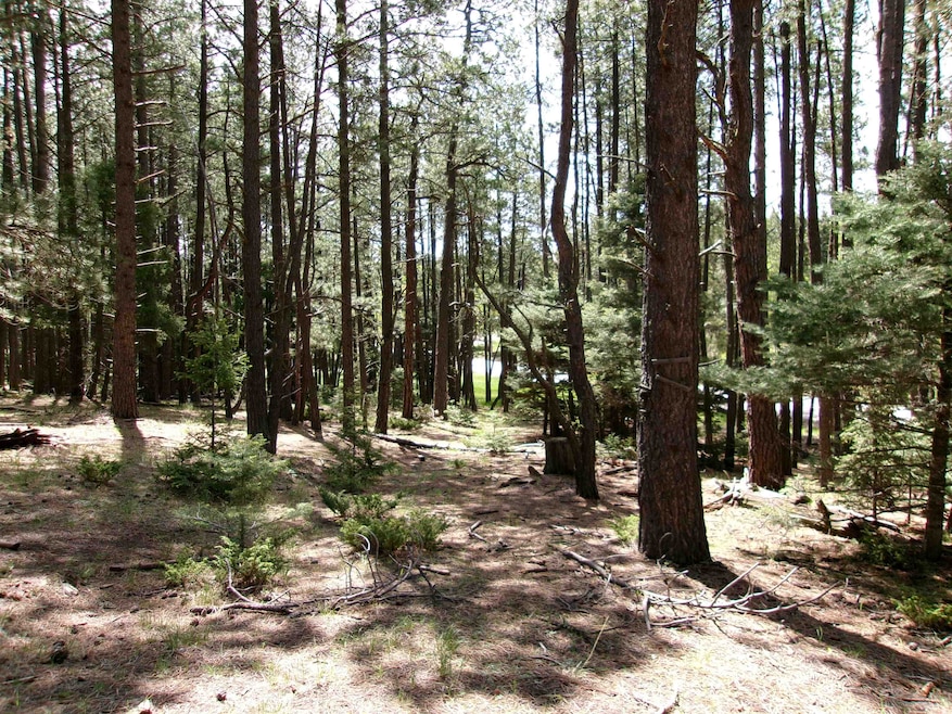 Lot 454 Maxwell Way, Angel Fire, NM 87710 - photo 1