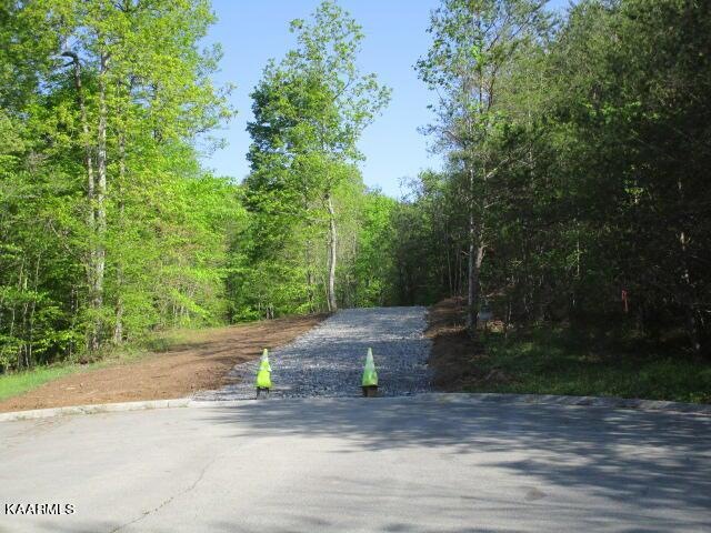 0 Cedar Rock unit 1189732, Rutledge, TN 37861 - photo 1