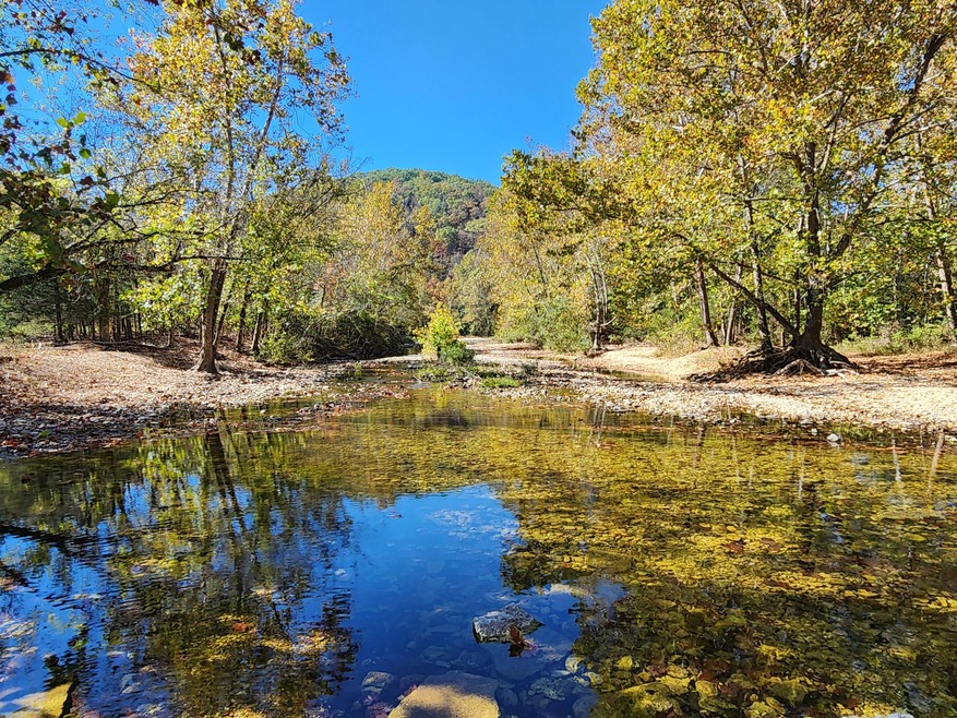 1585 Bray Mines Rd, Oldfield, MO 65720 - photo 1