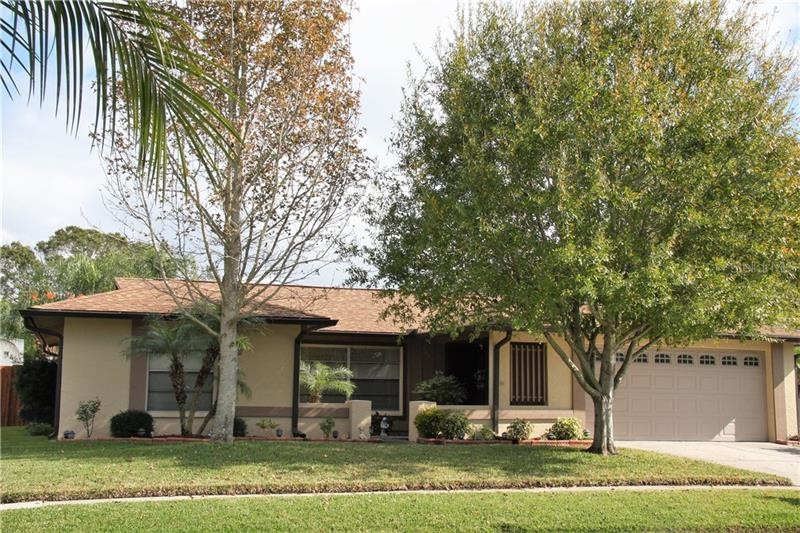 LOTS of NATURAL LIGHT, SPACIOUS & WELL MAINTAINED 