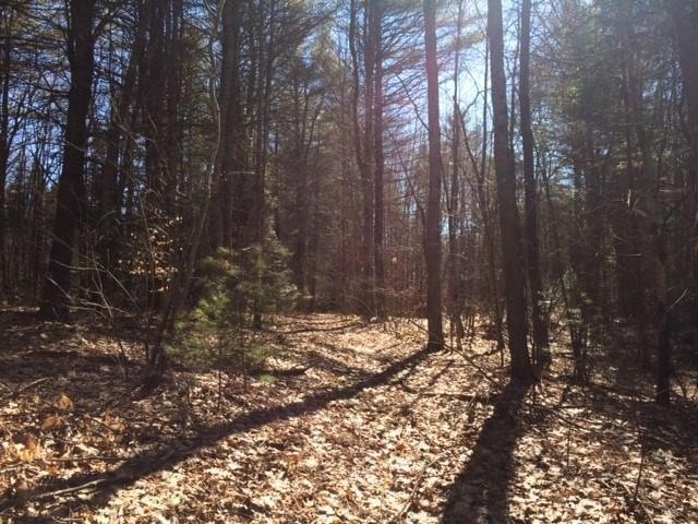 0 Mill Pond Rd, Durham, ME 04222 - photo 1