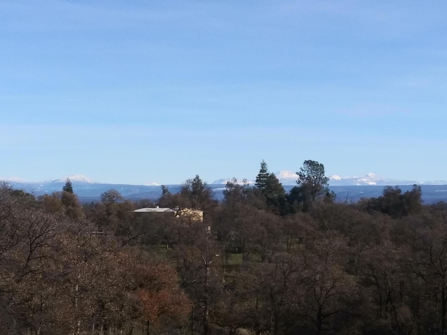 View from the deck