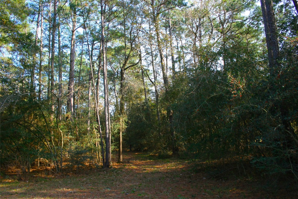 Lot 11 Silver Elm Place, Magnolia, TX 77355 - photo 1