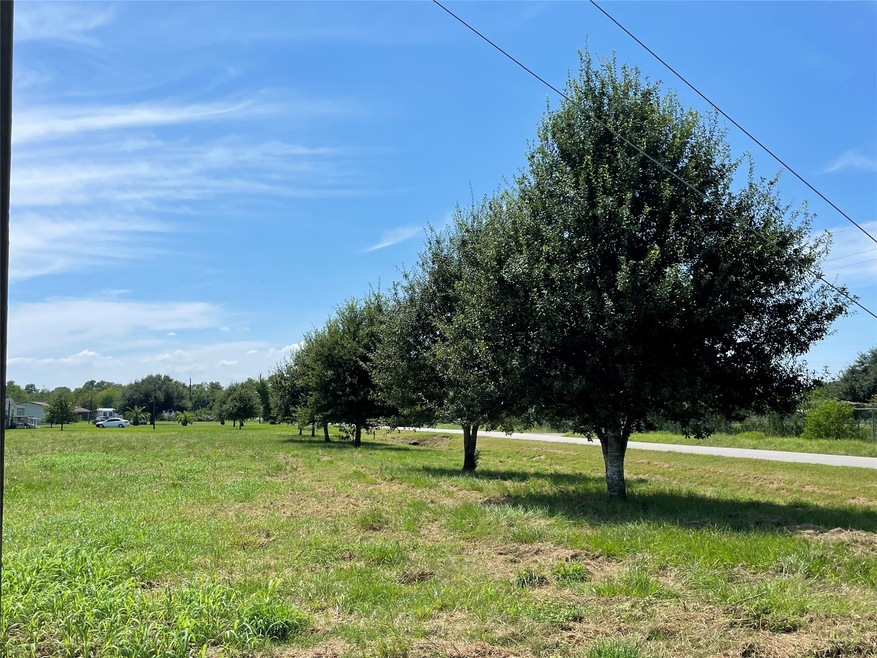 7601 Brinkmeyer Rd, Needville, TX 77461 - photo 1