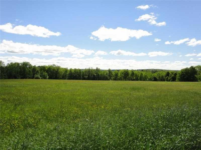 Land/Lot.