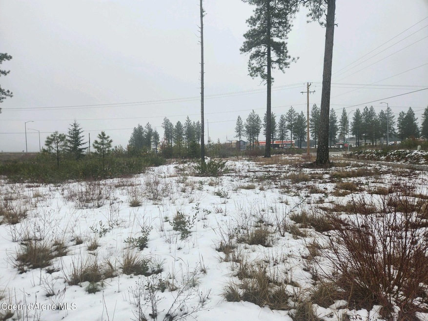 NNA N Sylvan Ln, Athol, ID 83801 - photo 1