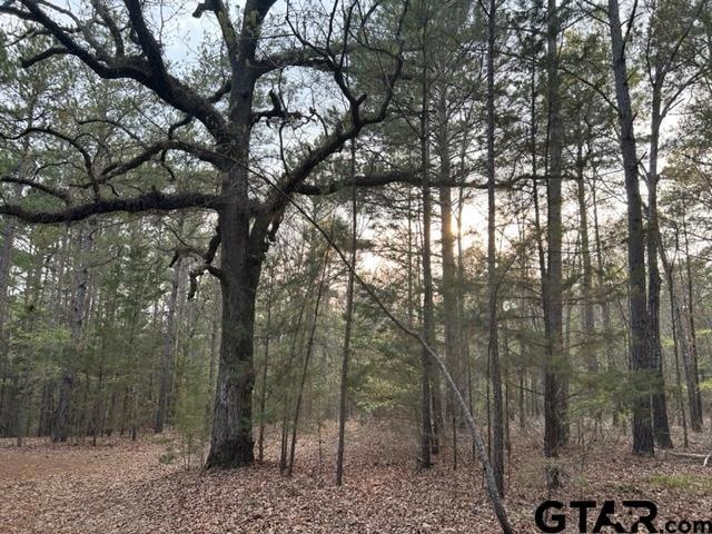 000 County Road 263, Tyler, TX 75707 - photo 1