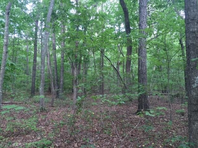 0 Burney Rd unit 845281, Asheboro, NC 27205 - photo 1