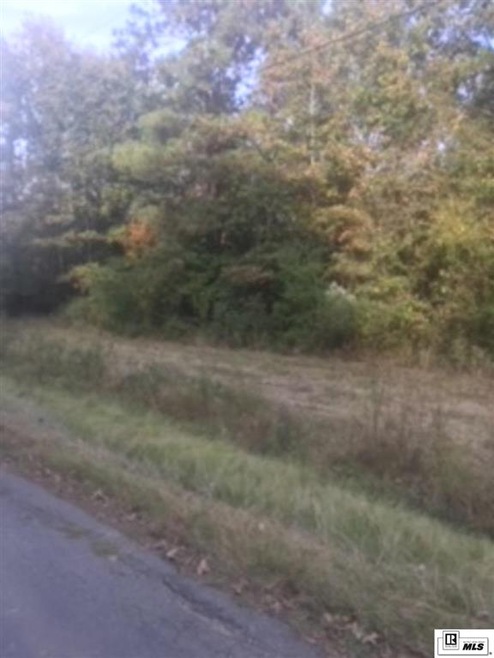 Tract 9 Wallace Rd, Bastrop, LA 71220 - photo 1