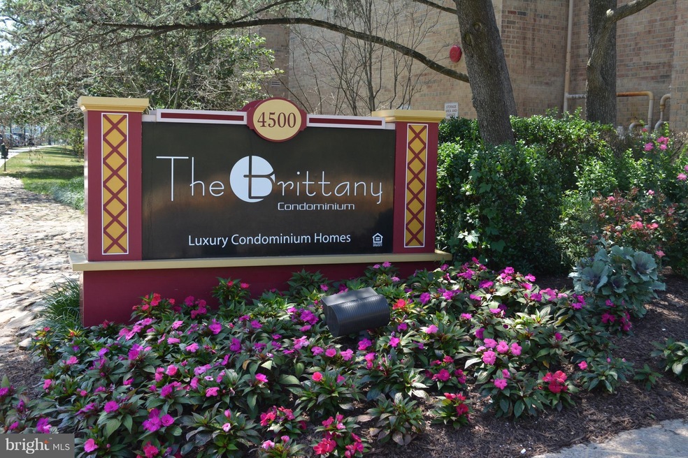 The Brittany unit 516, Arlington, VA 22204 - photo 1
