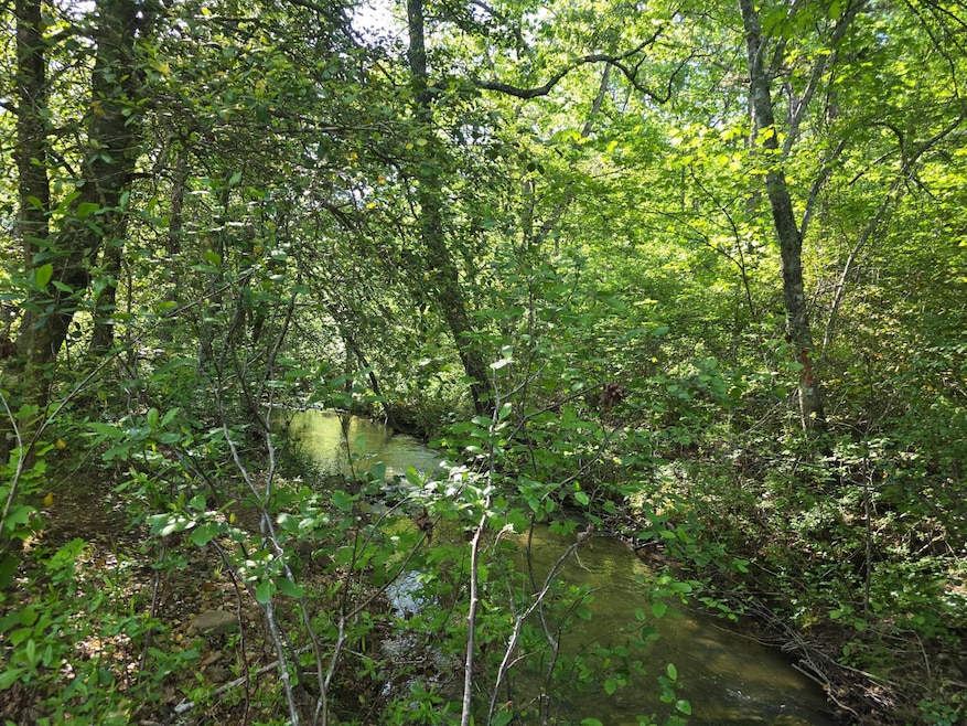 TR 21&22 Pine Tree Trail, Albion, OK 74571 - photo 1