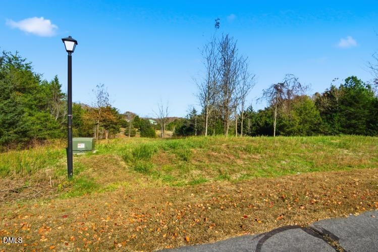 Pending $75,000 • Co-Listing Agent