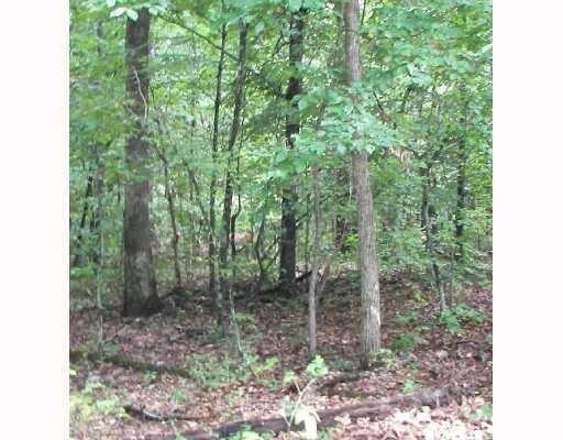 14483 Skyview East Rd, West Fork, AR 72774 - photo 1