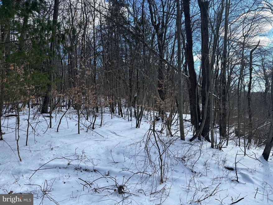 0 River Ct unit PAMR2004516, Pocono Lake, PA 18347 - photo 1