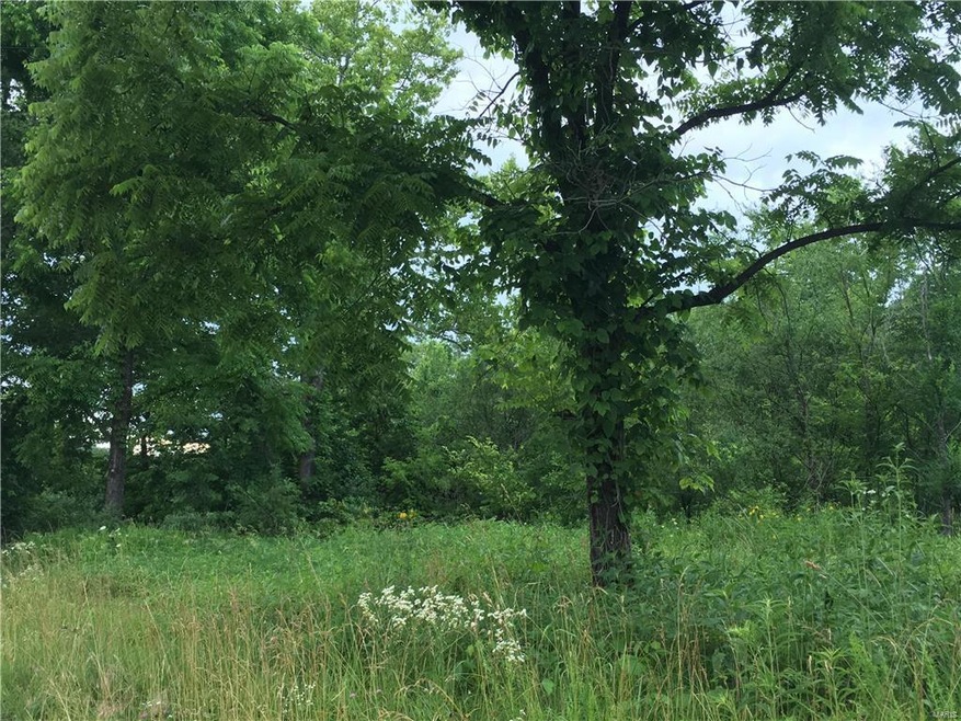 2Lot Howard Branch Rd, Warrenton, MO 63383 - photo 1