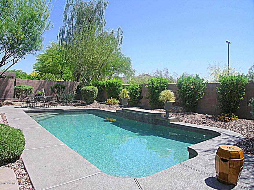 IMMACULATE POOL
