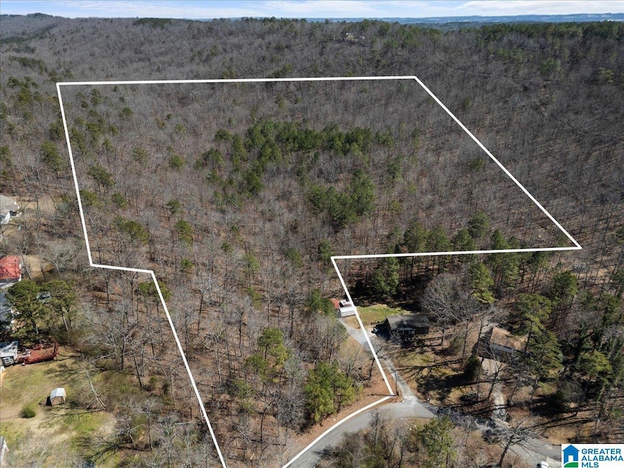 0 Oak Ridge Dr unit 21431508, Oneonta, AL 35121 - photo 1