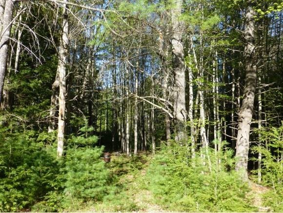 41 Stonedam Cir, Meredith, NH 03253 - photo 1