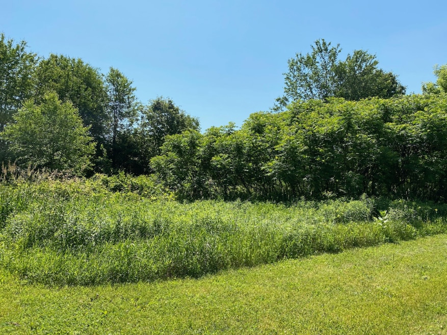 West Port Trails #15
