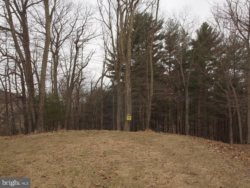 0 Sugar Grove Estates-Mt Hall Rd unit WVPT101158, Sugar Grove, WV 26815 - photo 1