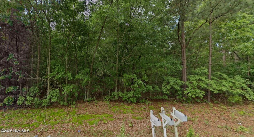 0 Palmer unit 100511463, Marston, NC 28363 - photo 1