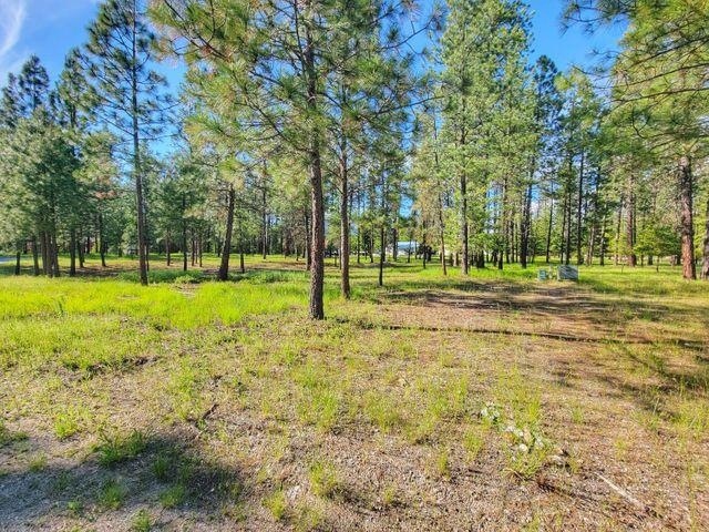 253 Eagle Dr, Chewelah, WA 99109 - photo 1