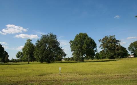 LOT32 Mandiba Dr, Lake City, FL 32024 - photo 1