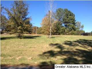 A look of some of the trees on this double lot.