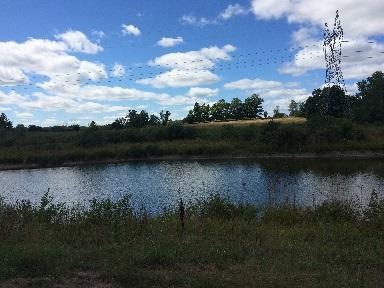 IMG_7310