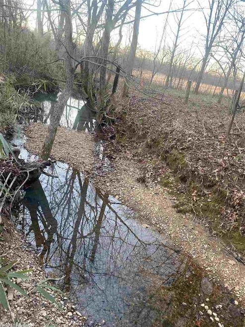 Lot 21 Cedar Ridge Estates, Paragould, AR 72450 - photo 1