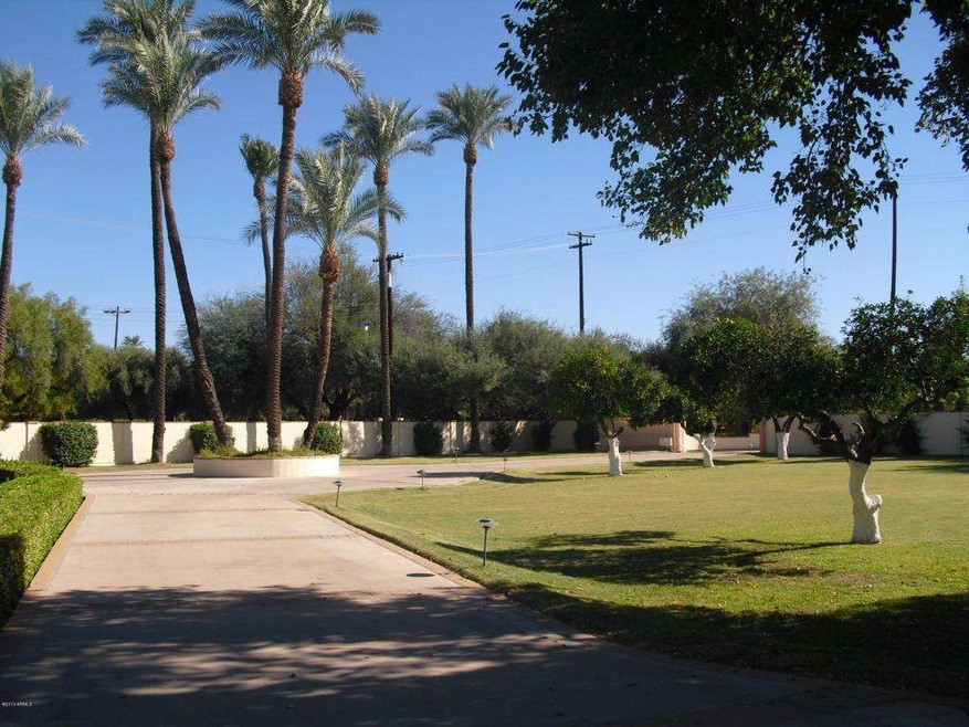 Front Yard