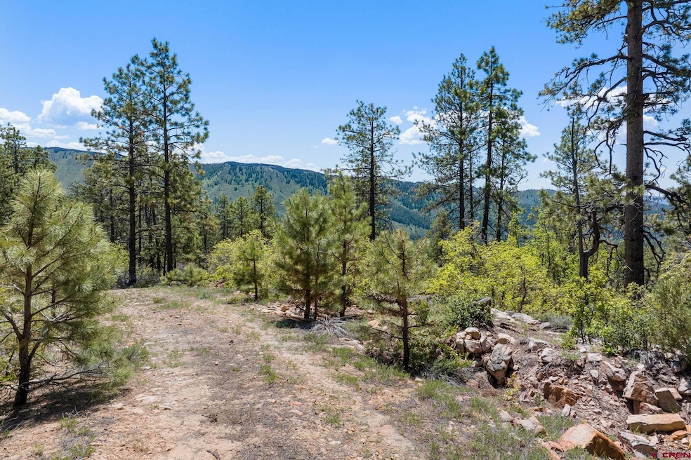 2511 Taylor Ranch Rd, Durango, CO 81301 - photo 1