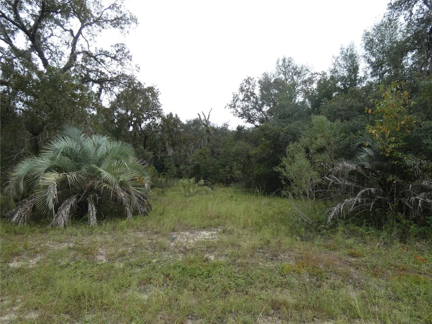 LOT 7 Neptune Blvd, Dunnellon, FL 34431 - photo 1