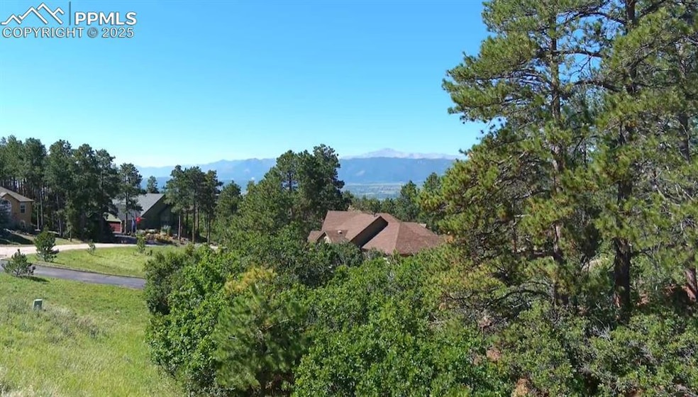Pikes Peak View