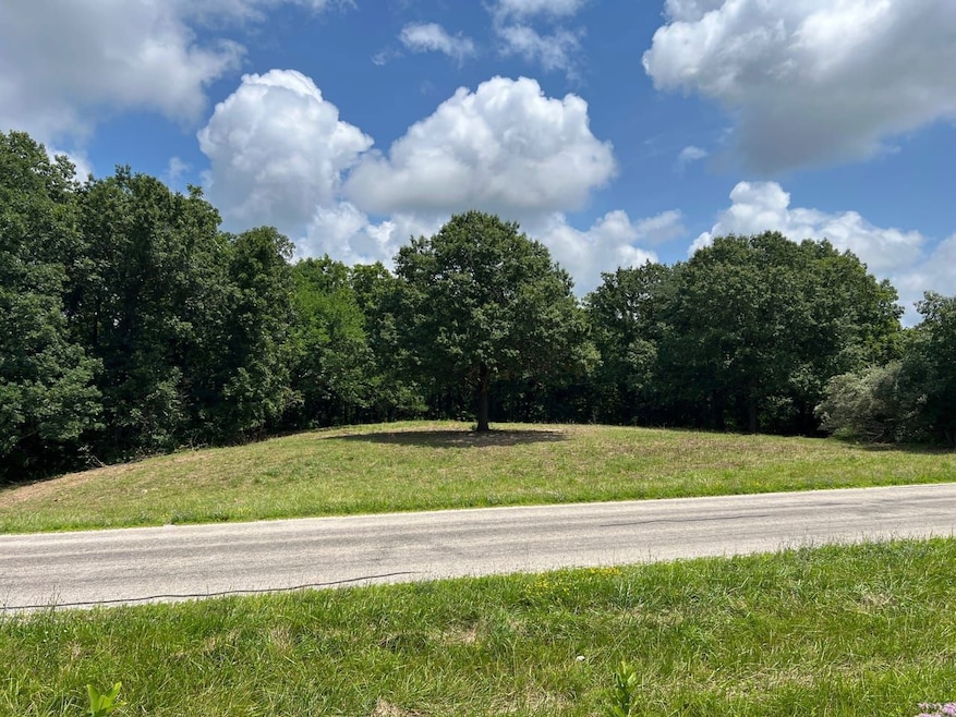 15 550n Ave, Timewell, IL 62375 - photo 1