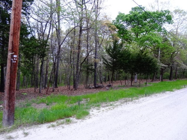 DSC06438