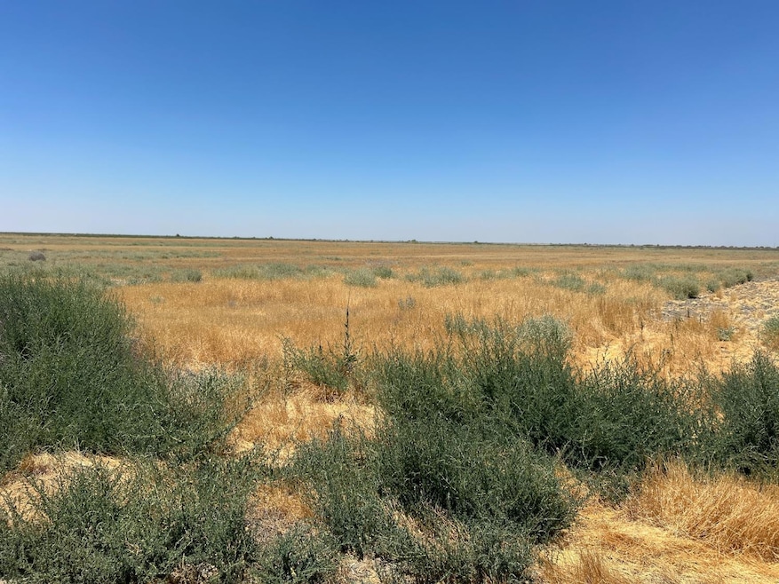 0 Ave 56 unit 2 633825, Alpaugh, CA 93201 - photo 1