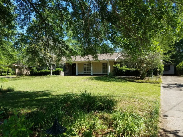 Main View