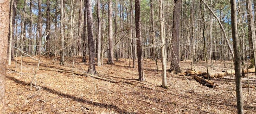 180 Haynes Creek Cir, Oxford, GA 30054 - photo 1