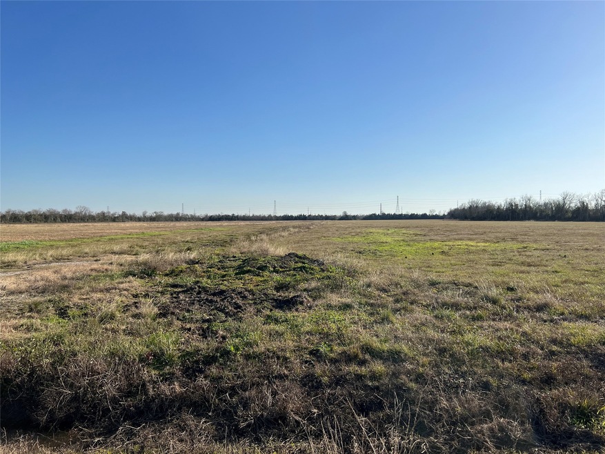 Lot 4 Rymal Ranch Rd, Algoa, TX 77511 - photo 1