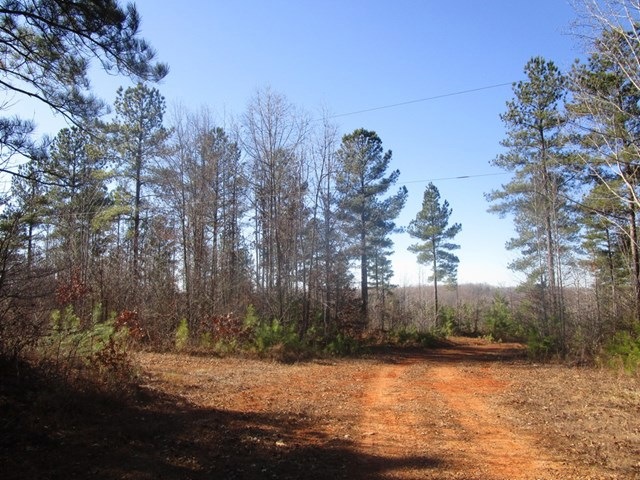 659 Old Mansion Rd, Lunenburg Court House, VA 23952 - photo 1