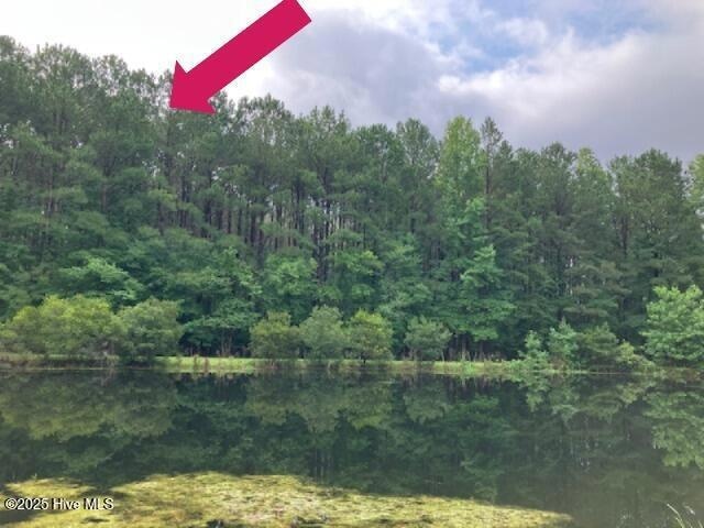 00 Wildberry Rd, Smithfield, NC 27577 - photo 1