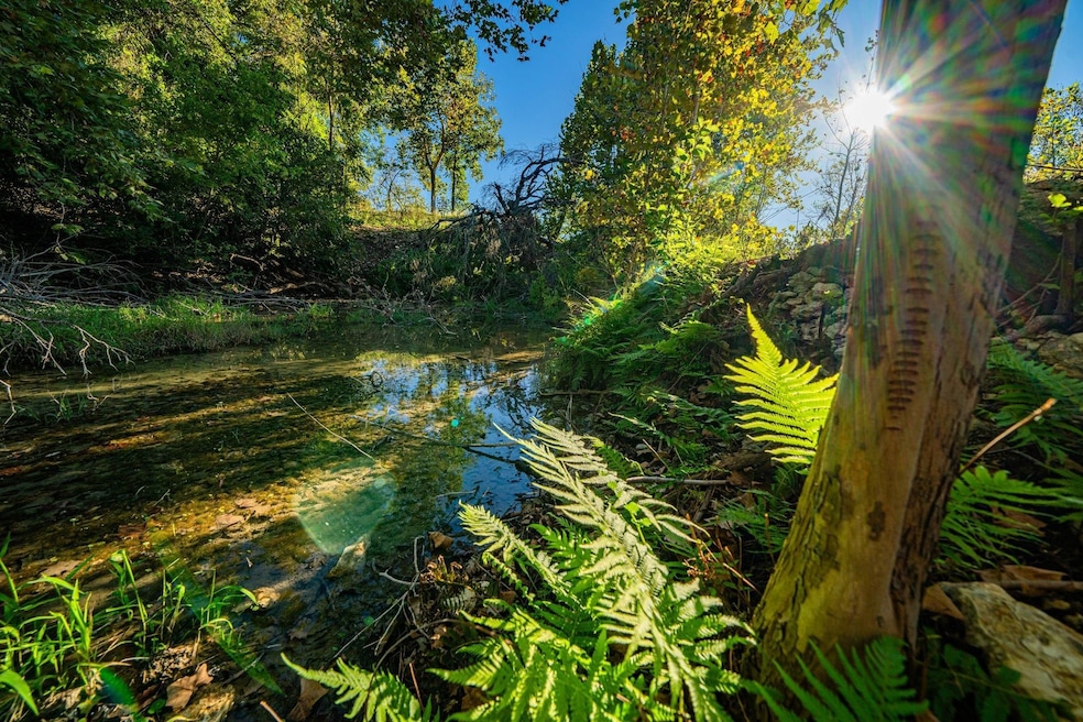 12695 Farm To Market Road 2843, Salado, TX 76571 - photo 1