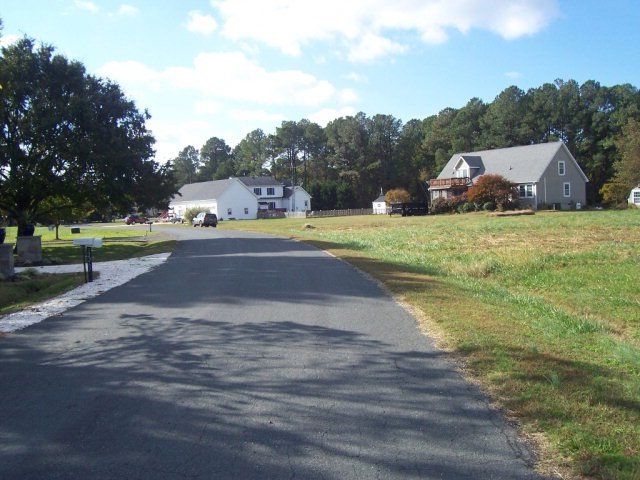 Main View