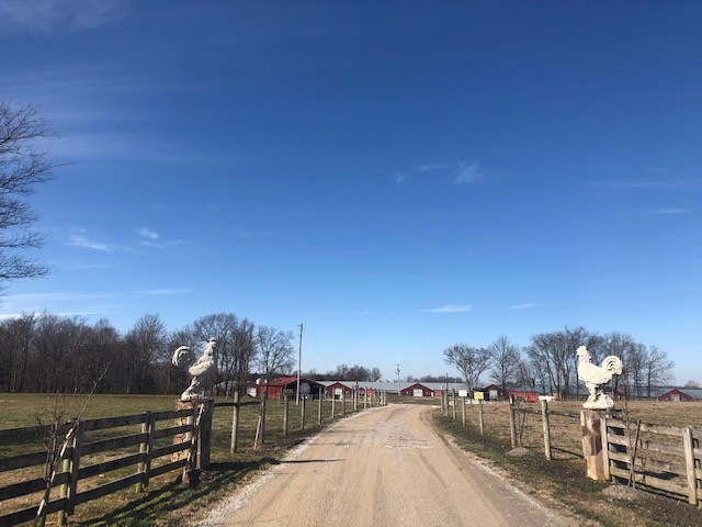 346 Montgomery Rd, Shelbyville, TN 37160 - photo 1